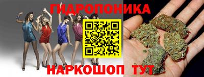 ECSTASY Кимры