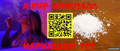 соль ск Кингисепп