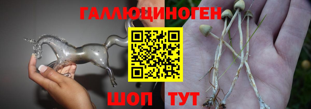 Коряжма  где можно купить наркотик  Вход с VPN  Псилоцибиновые грибы GOLDEN TEACHER  Галлюциногенные грибы мухоморы 